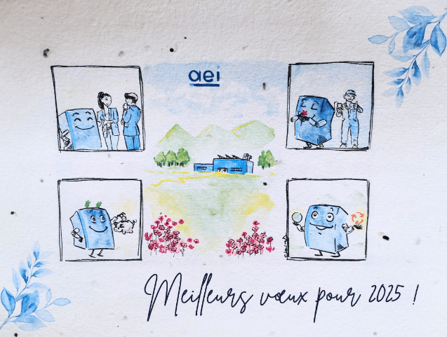 meilleurs voeux 2025